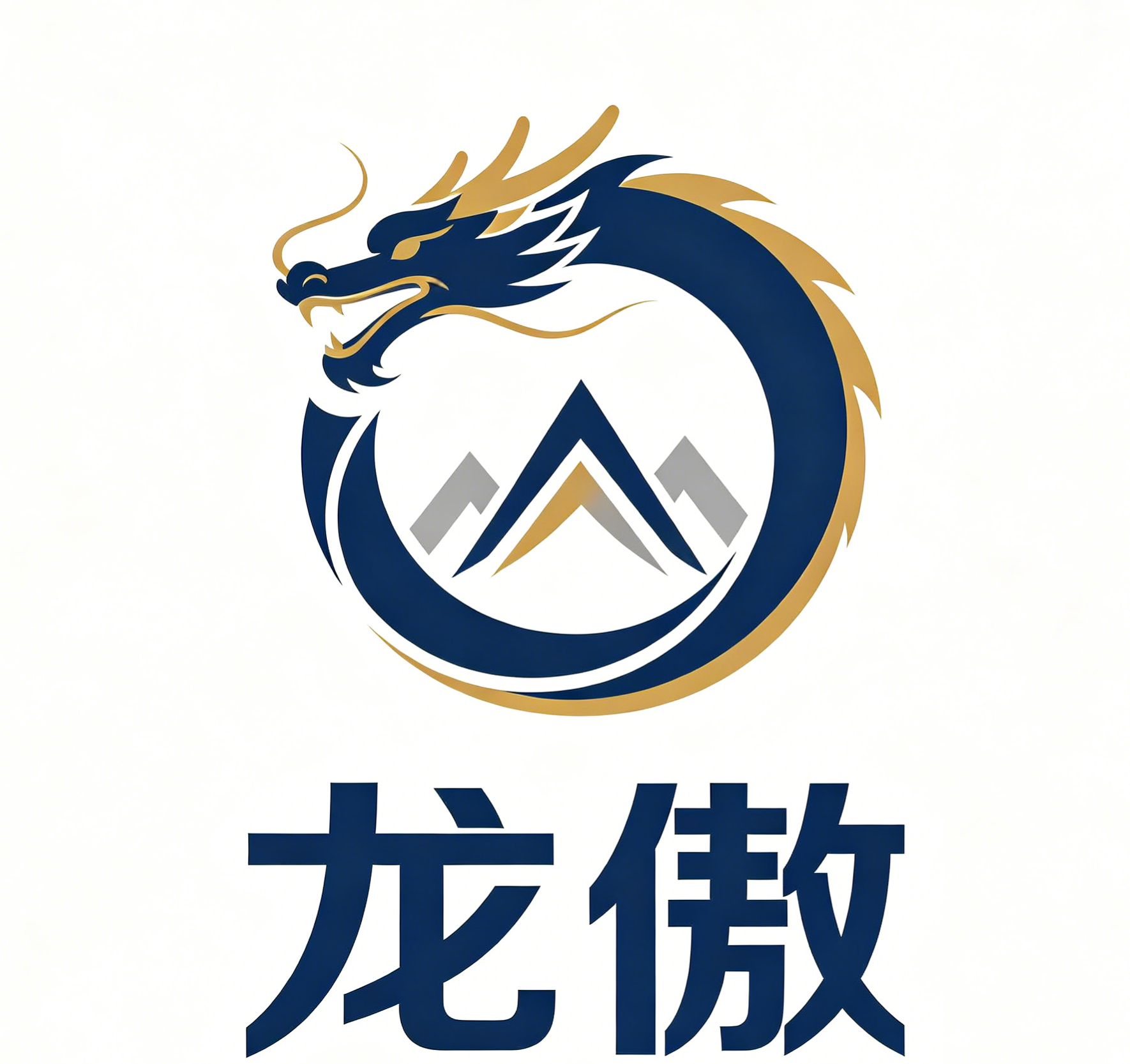 龙傲支付 logo